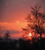 Sunset at Kwando River artwork