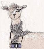 Llama with Glasses Scarf
