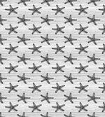Starfish on Uneven Stripes