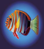 Tropical Exotic Sea Fish