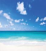Barbados Coastline Summer