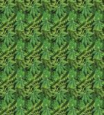 Various Tropical Leaves Art