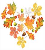 Leaves Acorns Heart