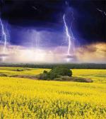 Majestic Storm Meadow