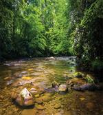 Oconaluftee River Photo artwork