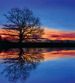 Night Scenery