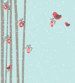 Red Bird Winter