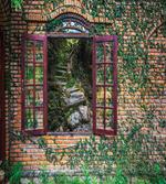 House Forest Wall