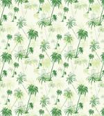 Sketch Style Palm Trees