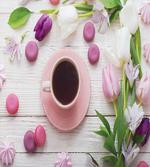 Cup Macaroon and Tulips artwork