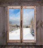Winter Season Scene