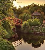 Garden Asia Peace