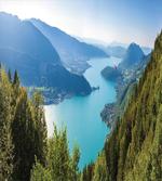 Aerial Annecy Lake Pine