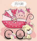 Puppy Carriage
