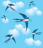Hirundo Atrocaerulea