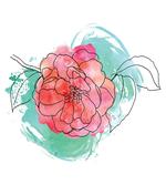 Camellia Grunge Art