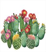 Saguaro Tropical Garden