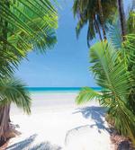 Palm Leaf Tropical Beach