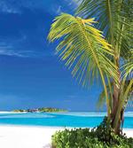Caribbean Relaxing Tropic