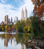 Manhattan Central Park artwork