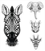 Safari Wildlife Sketch