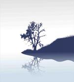Lonely Tree by Lake