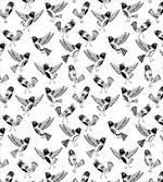 Cartoon Birds