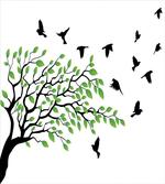 Flying Birds Spring Peace