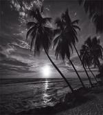 Horizon over Sea Picture