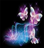 Magic Butterflies on Dark