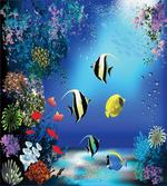 Ocean Coral Reefs Tropic