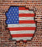 American National Flag artwork