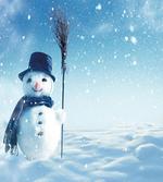 Wintry Land Snowy Cold