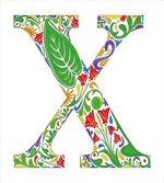 X Lively Colors Exotic