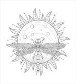 Neutral Sun and Dragonfly
