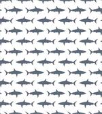 Swimming Wild Fishes