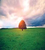 Idyllic Countryside