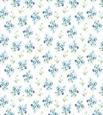 Flowers Forget Me Nots Art