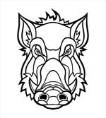 Uncolored Wild BoarHead
