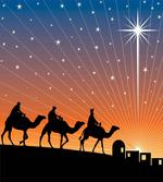 Star of Bethlehem Camel Wise