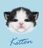 Furry Pink Nose Kitten