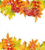 Autumn Branches Border
