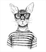 Hipster New Age Cat