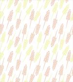 Wheat Grain Organic