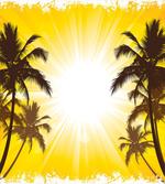 Place with Palm Trees