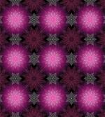 Floral Flower Petals