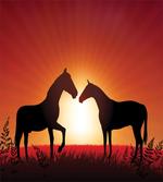 Horses Silhouette on Sunset