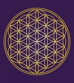 Circle Overlap
