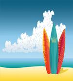 Surfboards on Coast