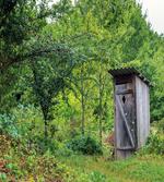 Spring Forest Worn Hut
